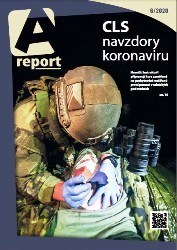A report №6 2020