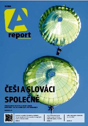 A report №11 2022