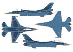 F-2B